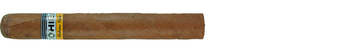 Cohiba Siglo Iv