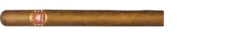 H.upmann Lonsdales