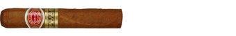 Romeo Y Julieta Short Churchills